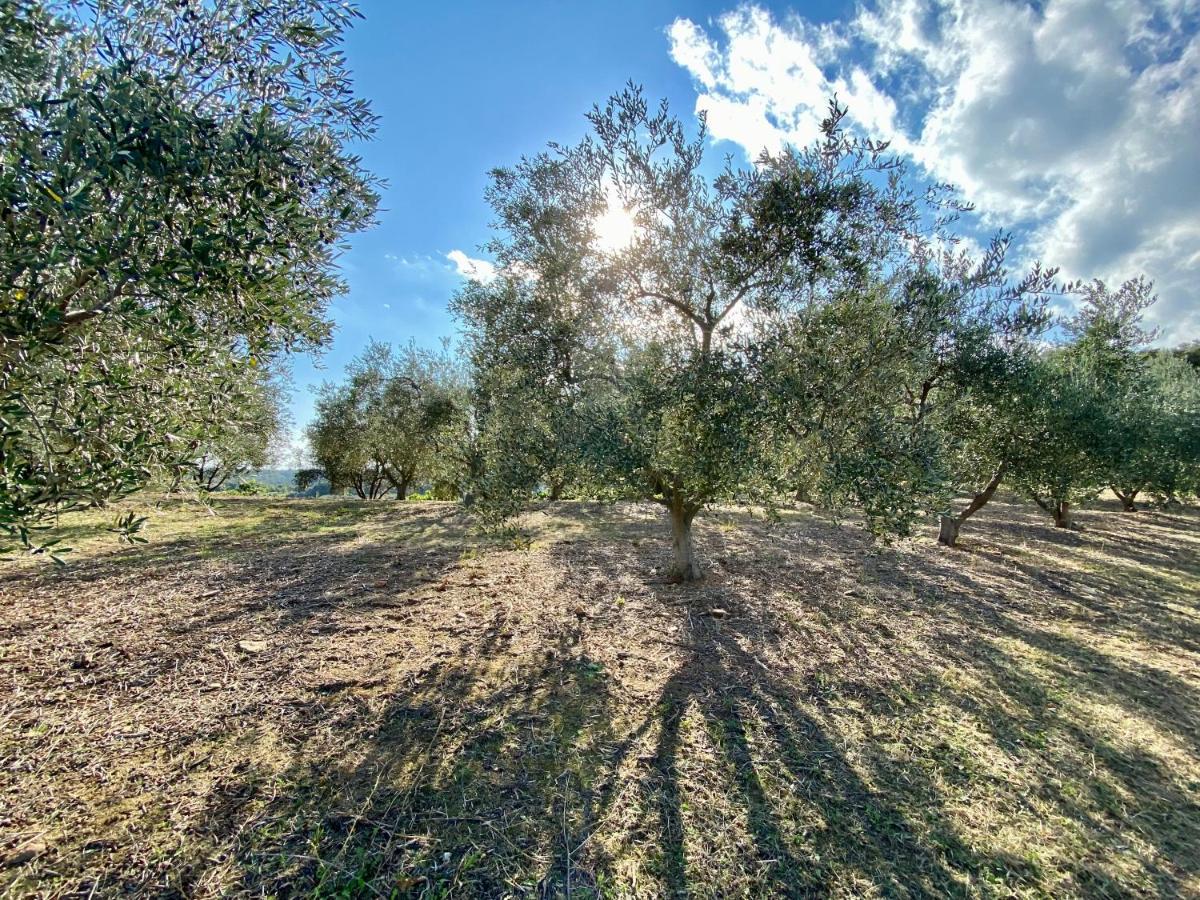 Villa vue mer dans nature protégée, plage à 1,5 km Cervione Esterno foto